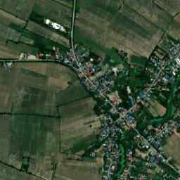 Papaya map(satellite map)