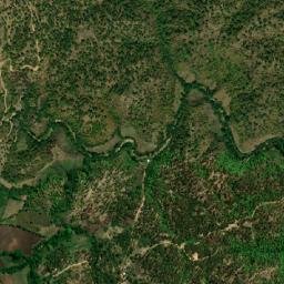 Punta Ocote map(satellite map)