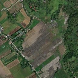 Panlinlang map(satellite map)