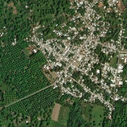 Hidalgo map(satellite map)