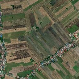 San Patricio map(satellite map)