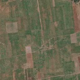 Bājil map(satellite map)