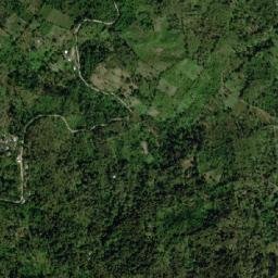 Nueva Arcadia map(satellite map)
