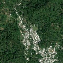 Benito Juárez map(satellite map)