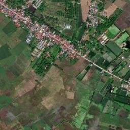 San Carlos map(satellite map)