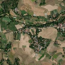 Upig map(satellite map)