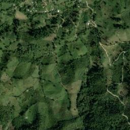 Guacamaya map(satellite map)