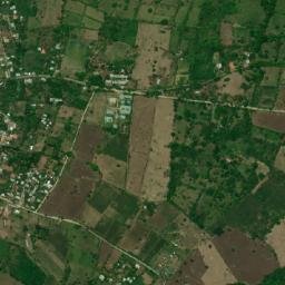 San Francisco de Yojoa map(satellite map)