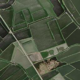 Santo Tomas map(satellite map)
