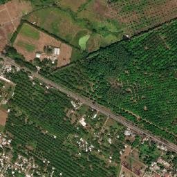 Nuevo Pumpuapa (Cereso) map(satellite map)