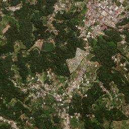 Palestina de los Altos map(satellite map)
