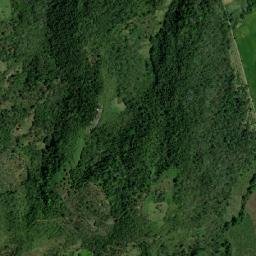 Los Naranjos map(satellite map)