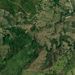 Veracruz map(satellite map)
