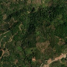 Dolores map(satellite map)