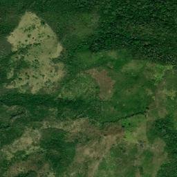 El Guayabito map(satellite map)