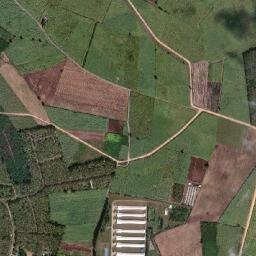 Amphoe Wang Muang map(satellite map)