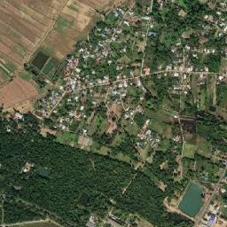 Amphoe Chamni map(satellite map)