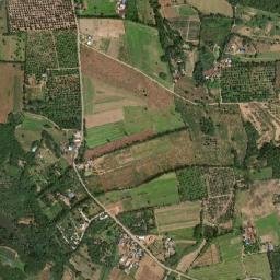 Amphoe Muak Lek map(satellite map)