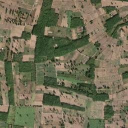 Amphoe Si Narong map(satellite map)