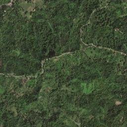 Rodriguez map(satellite map)