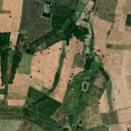 Amphoe Pak Thong Chai map(satellite map)