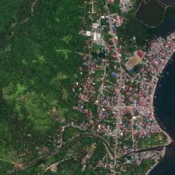 Real map(satellite map)