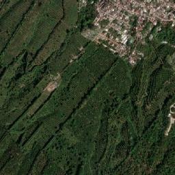 Pueblo Nuevo map(satellite map)