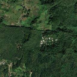 Municipio de San Miguel Panán map(satellite map)