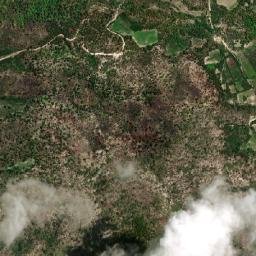 Cedros map(satellite map)