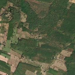 Amphoe Phu Sing map(satellite map)