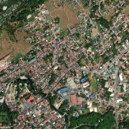 Naic map(satellite map)