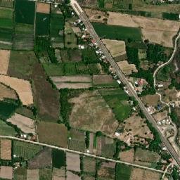 Flores map(satellite map)