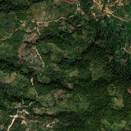 Dolores map(satellite map)