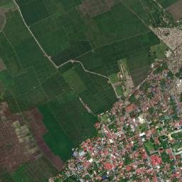 Pila map(satellite map)