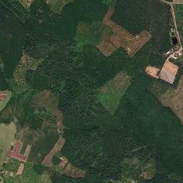 Huyện Phù Mỹ map(satellite map)