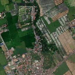 Calauan map(satellite map)