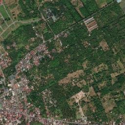 Alaminos map(satellite map)