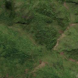 Dauphin map(satellite map)