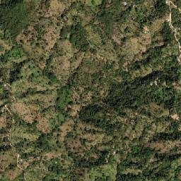 Candelaria map(satellite map)