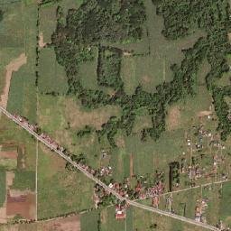 Bilaran map(satellite map)