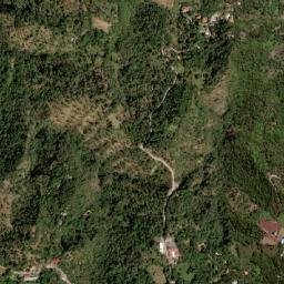 Camasca map(satellite map)