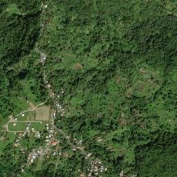 Forestiere map(satellite map)