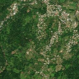 Grande Riviere map(satellite map)