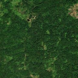 Miami/Bexon map(satellite map)