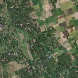 Janagdong map(satellite map)