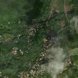 Mamiku map(satellite map)