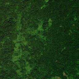 Palmiste Estate map(satellite map)