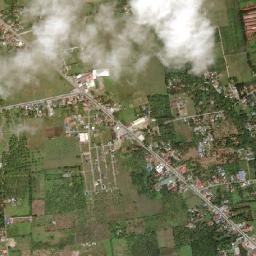 San Carlos map(satellite map)