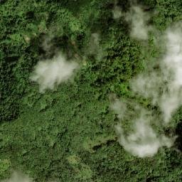 Belvedere map(satellite map)