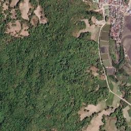 Tilik map(satellite map)
